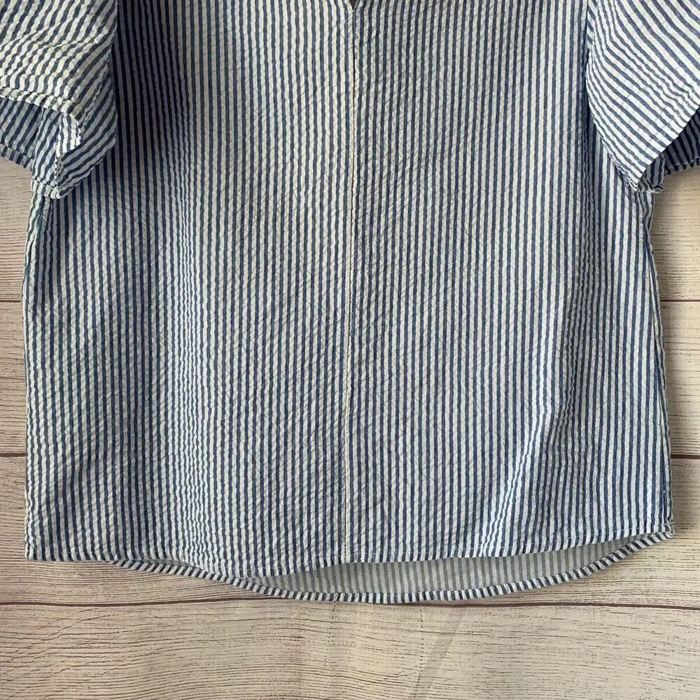 Zara blue white